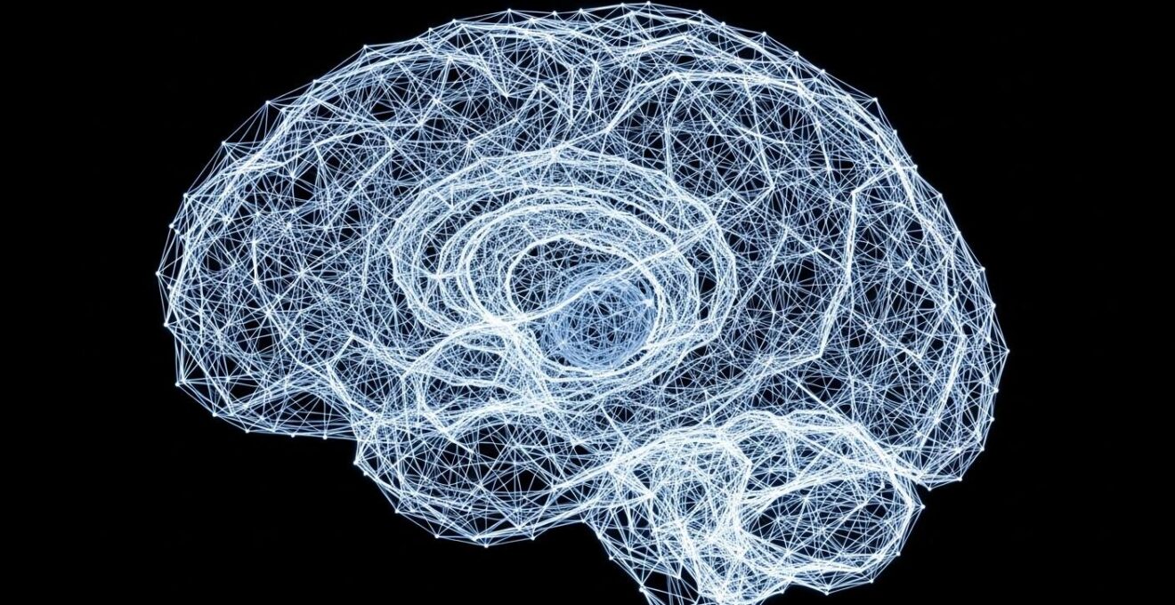 Représentation stylisée d'un cerveau avec des connexions lumineuses symbolisant la co-création